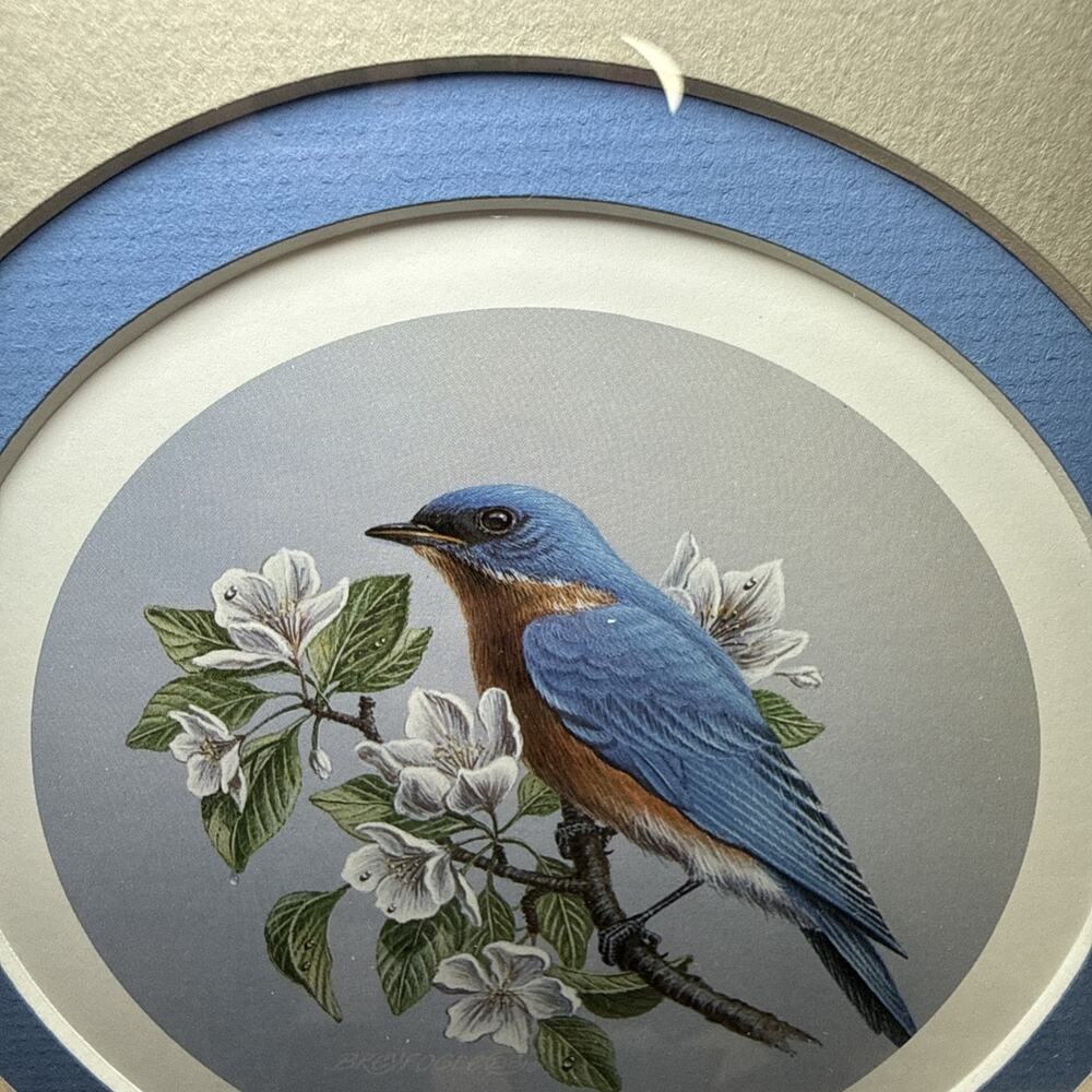 Don Breyfogle Eastern Bluebird Framed Wildlife Print 1988 9.6” x 9.4” Vintage - Picture 3 of 12